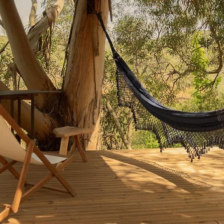 Soul Farm Algarve - Glamping & Farm Houses Aljezur Ngoại thất bức ảnh