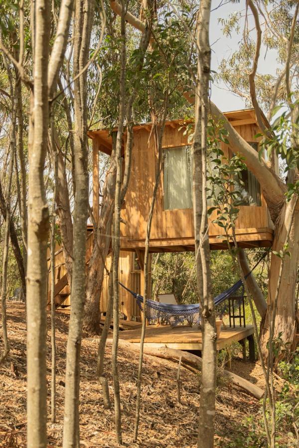Soul Farm Algarve - Glamping & Farm Houses Aljezur Ngoại thất bức ảnh