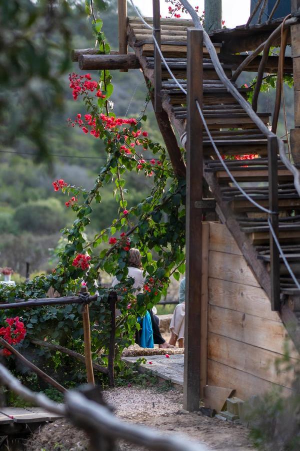 Soul Farm Algarve - Glamping & Farm Houses Aljezur Ngoại thất bức ảnh