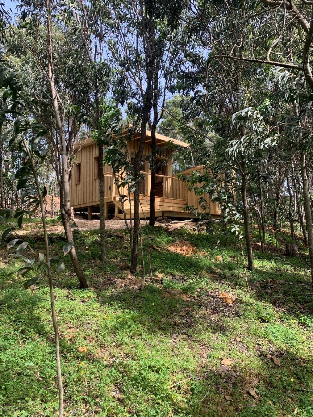Soul Farm Algarve - Glamping & Farm Houses Aljezur Ngoại thất bức ảnh